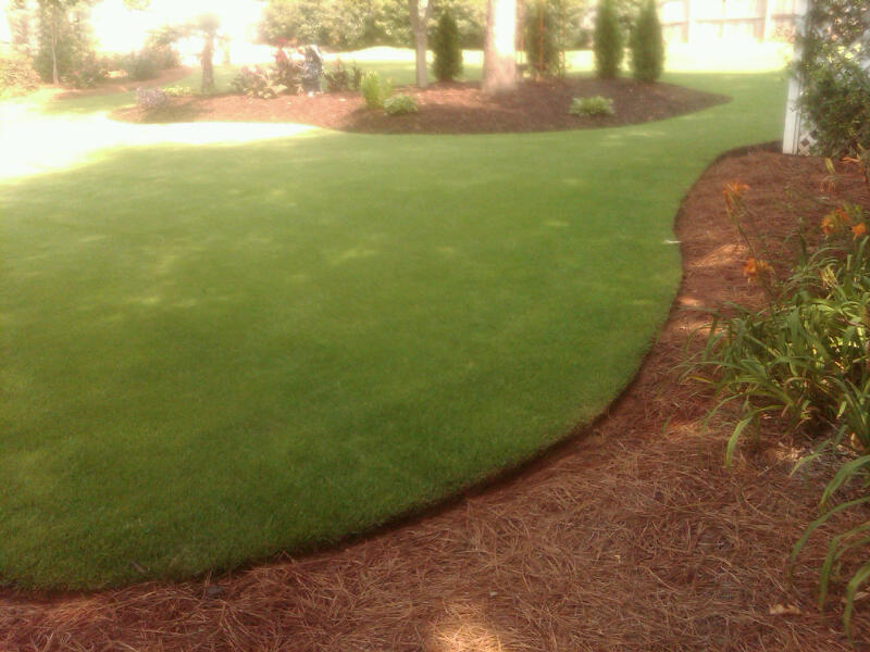 Sod, Mulch, Pine Straw