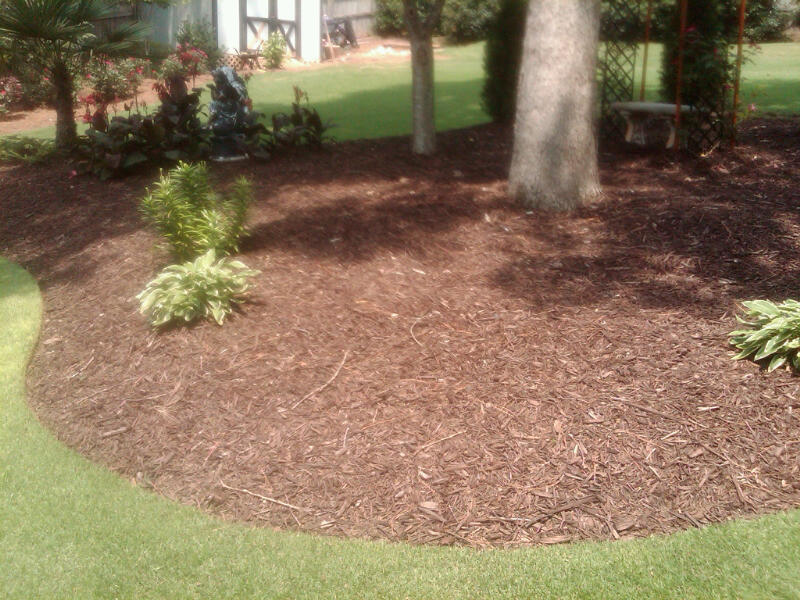 Mulch Installation