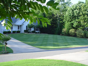 After Sod Installation