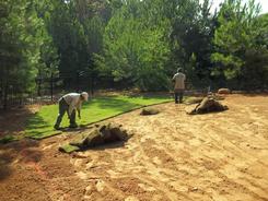 Before Sod Installation