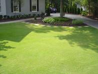 Landscape Maintenance, Reel mowing, Walkpath Installation