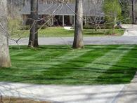 Landscape Maintenance, Fescue Installation, striping lawn