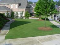 Lawn Maintenance, Reel Mowing