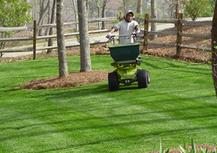 Turf Treatment on Fescue, Perma Green