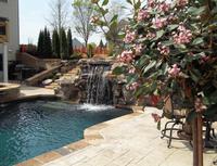 landscape upgrades pool landscaping
