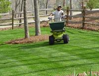 Turf Treatments on Fescue