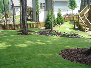 After Zoysia Sod Installation